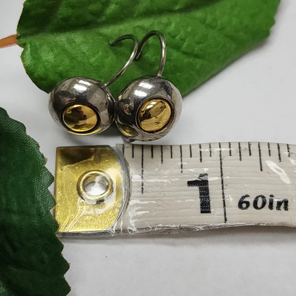 Two Toned Silver Toned and Gold Toned Circle Lever Back Earrings